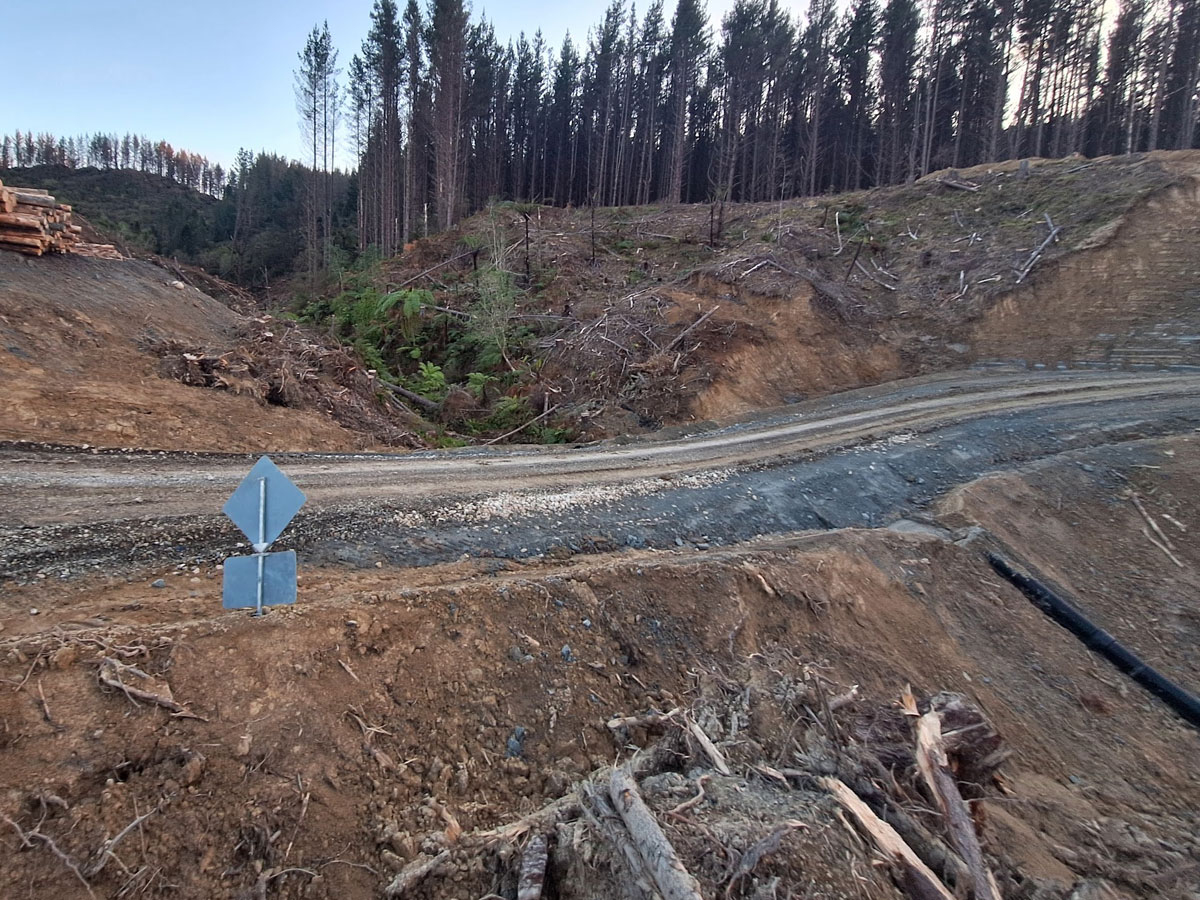 forestry-hydroseeding-gisborne2