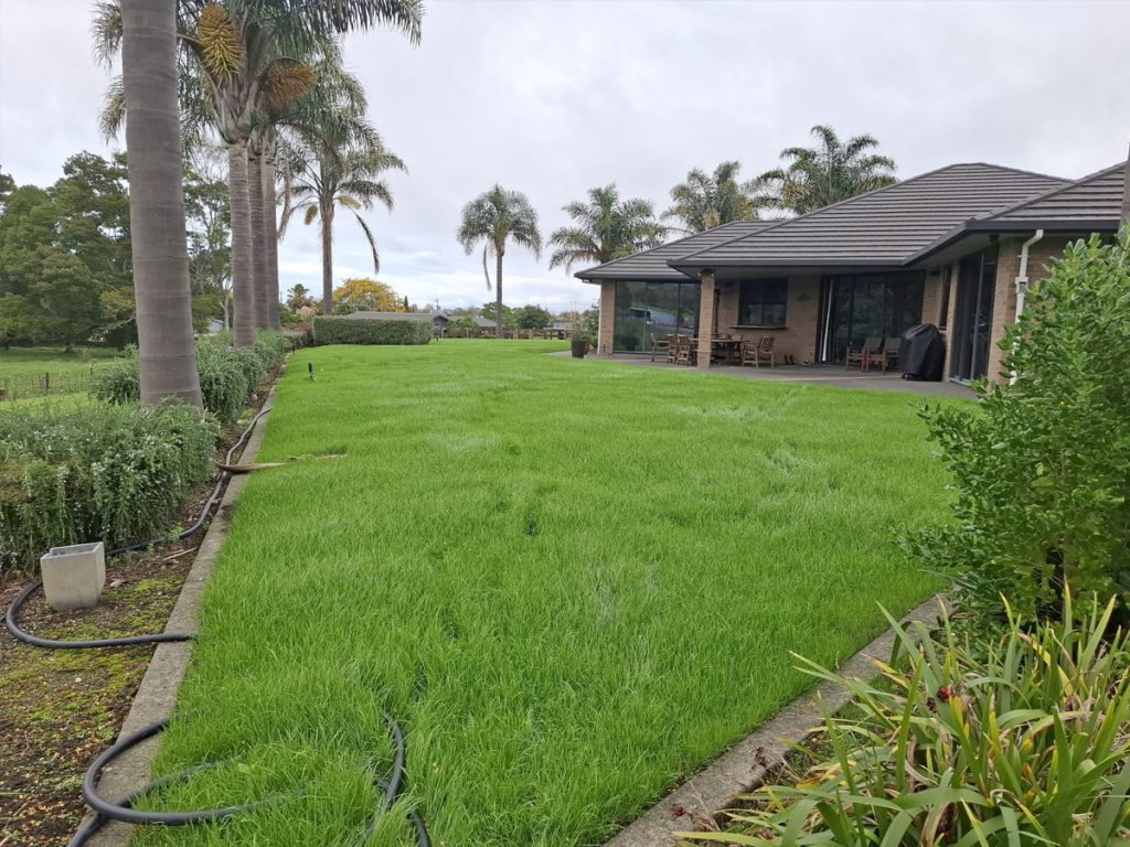 residential-hydroseeding-gisborne