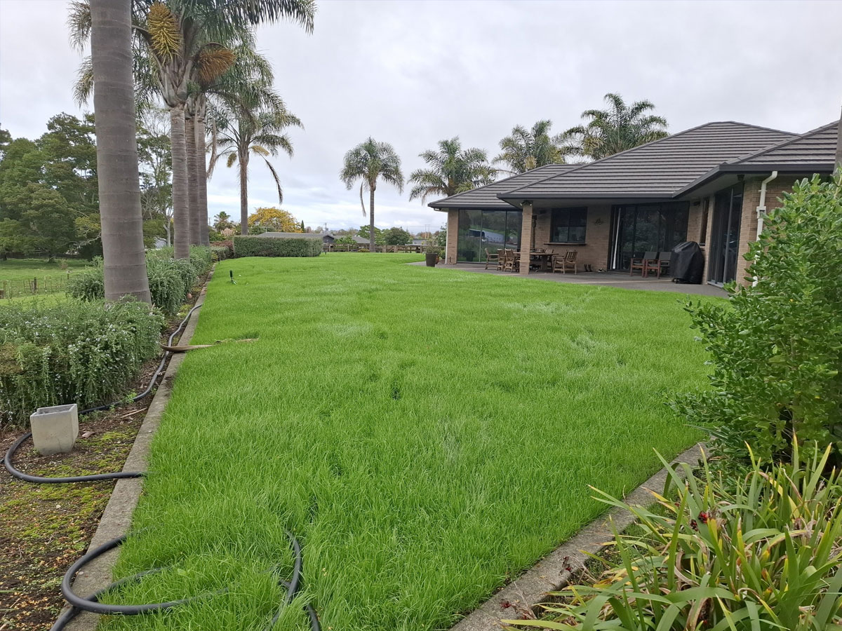 residential-hydroseeding-gisborne